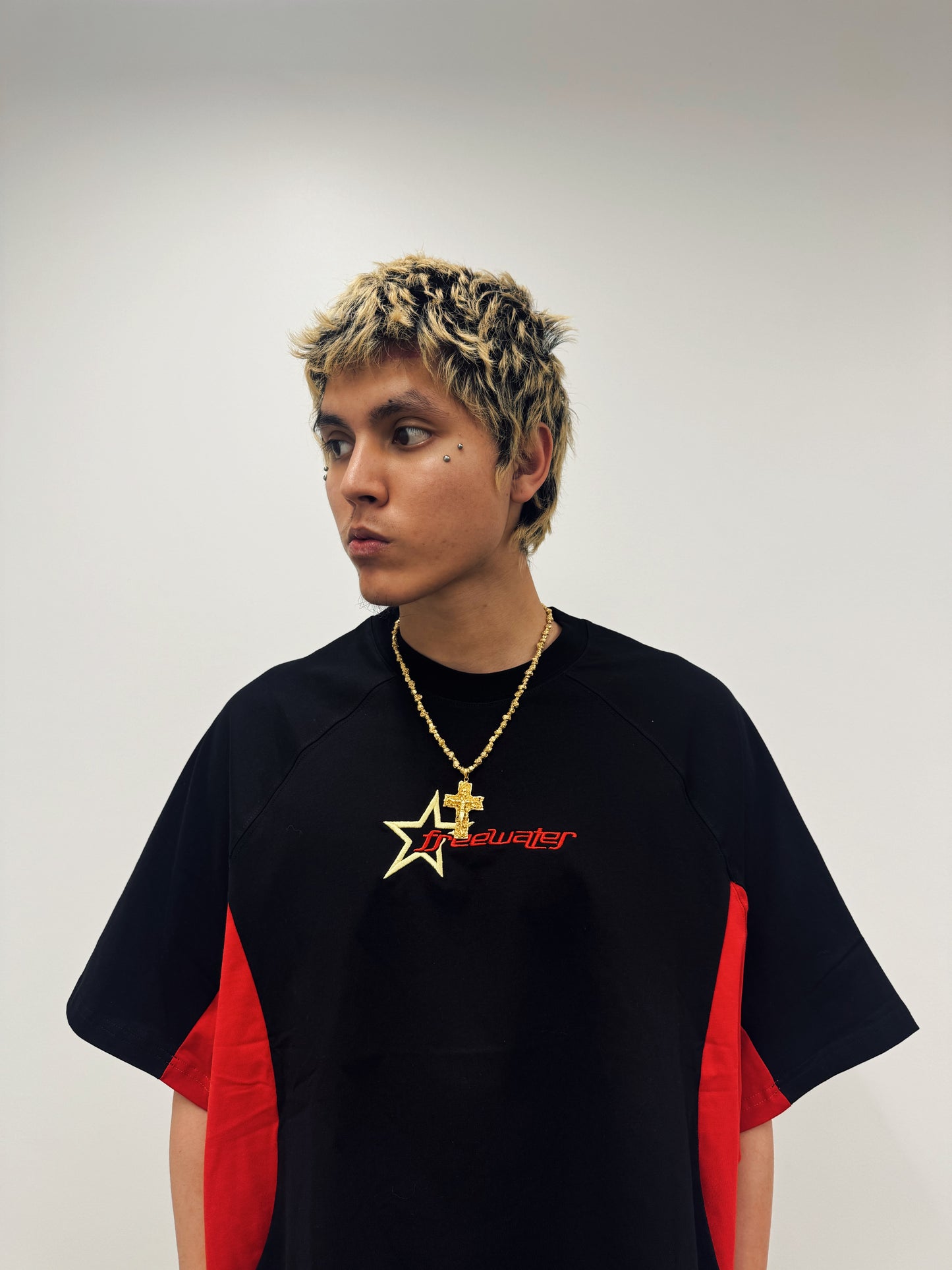 STAR PANEL CROP TEE
