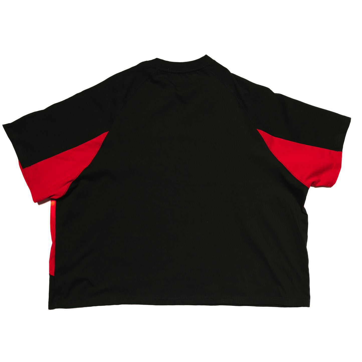 STAR PANEL CROP TEE