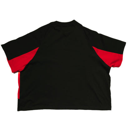 STAR PANEL CROP TEE